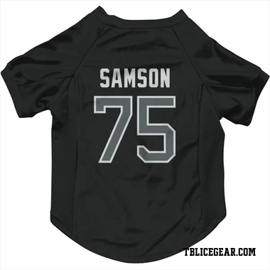 Black Tampa Bay Lightning Ethan Samson   Gray Dog & Cat Pet Jersey